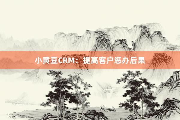 小黄豆CRM：提高客户惩办后果
