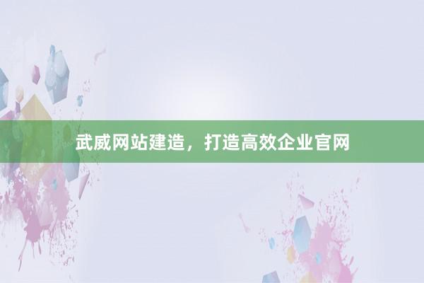 武威网站建造，打造高效企业官网
